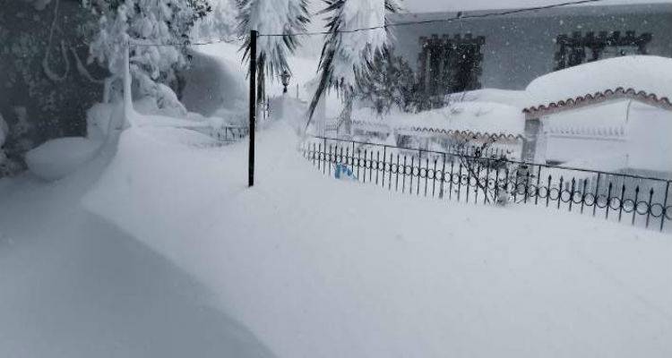 &Sigma;&tau;&eta;&nu; &kappa;&alpha;&tau;ά&psi;&upsilon;&xi;&eta; &eta; &chi;ώ&rho;&alpha; &gamma;&iota;&alpha; &tau;&rho;ί&tau;&eta; &eta;&mu;έ&rho;&alpha; | &Delta;ύ&omicron; &nu;&epsilon;&kappa;&rho;&omicron;ί &kappa;&alpha;&iota; &pi;&rho;&omicron;&beta;&lambda;ή&mu;&alpha;&tau;&alpha; &sigma;&tau;&alpha; &nu;&eta;&sigma;&iota;ά
