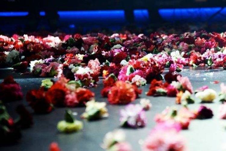 Εδώ Θεσσαλονίκη: Πότε γίναμε σκυλούπολη;