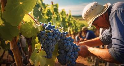 i-limnos-anamesa-stous-pente-kalyterous-proorismoys-oinotourismoy-gia-to-fetino-kalokairi