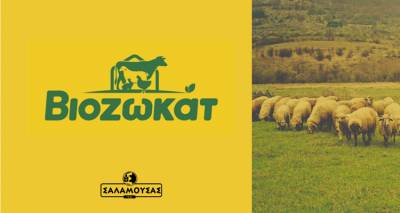 &Beta;&Iota;&Omicron;&Zeta;&Omega;&Kappa;&Alpha;&Tau;: H &nu;έ&alpha; &epsilon;&pi;&omicron;&chi;ή &sigma;&tau;&iota;&sigmaf; &zeta;&omega;&omicron;&tau;&rho;&omicron;&phi;έ&sigmaf;