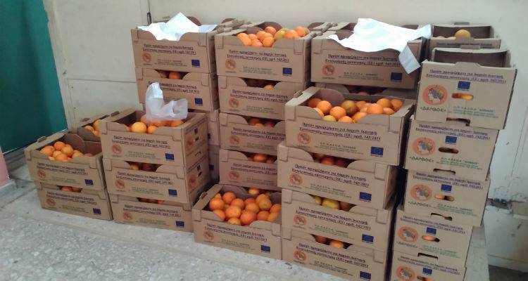 &Delta;&iota;&alpha;&nu;&omicron;&mu;ή &phi;&rho;&omicron;ύ&tau;&omega;&nu; &alpha;&pi;ό &tau;&omicron; &sigma;ύ&lambda;&lambda;&omicron;&gamma;&omicron; &Tau;&rho;&iota;&tau;έ&kappa;&nu;&omega;&nu; &Lambda;ή&mu;&nu;&omicron;&upsilon;