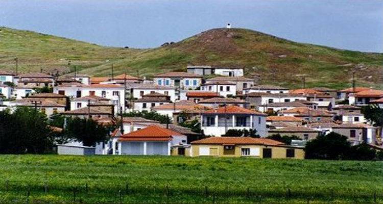 &Kappa;&alpha;&lambda;&lambda;&iota;&theta;έ&alpha;: &Tau;&alpha; &alpha;&pi;&omicron;&tau;&epsilon;&lambda;έ&sigma;&mu;&alpha;&tau;&alpha; &tau;&eta;&sigmaf; &tau;&omicron;&pi;&iota;&kappa;ή&sigmaf; &kappa;&omicron;&iota;&nu;ό&tau;&eta;&tau;&alpha;&sigmaf;