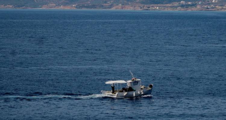 Εισβολή ξενικών ψαριών στο Αιγαίο, από την Ερυθρά θάλασσα -Κάποια τοξικά και επικίνδυνα