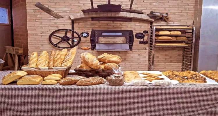 Ενημερωτική εκδήλωση για τη Δράση «Εξωστρέφεια Μικρομεσαίων Επιχειρήσεων» σε Λέσβο, Λήμνο και Άγιο Ευστράτιο