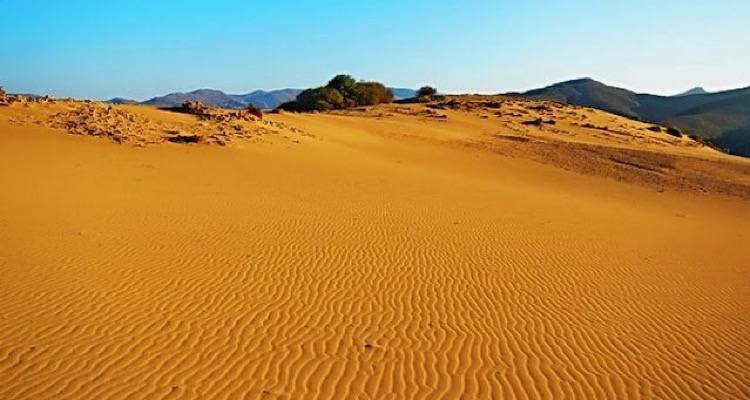 &Kappa;&iota; ό&mu;&omega;&sigmaf;, έ&chi;&epsilon;&iota; &kappa;&alpha;&iota; &epsilon;&lambda;&lambda;&eta;&nu;&iota;&kappa;ό &nu;&eta;&sigma;ί &tau;&eta;&hellip; &Sigma;&alpha;&chi;ά&rho;&alpha; &tau;&omicron;&upsilon; | &Pi;ώ&sigmaf; &theta;&alpha; &pi;ά&tau;&epsilon; &alpha;&pi;&epsilon;&upsilon;&theta;&epsilon;ί&alpha;&sigmaf; &alpha;&pi;ό &Theta;&epsilon;&sigma;&sigma;&alpha;&lambda;&omicron;&nu;ί&kappa;&eta;