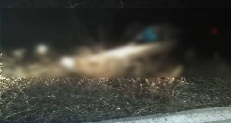 Τροχαίο ατύχημα τα ξημερώματα στη Λήμνο