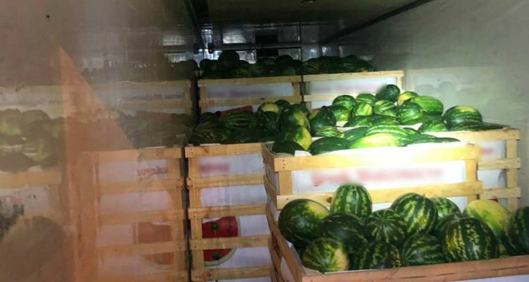 Εκρυβαν αλλοδαπούς σε φορτηγό με καρπούζια | Εξαρθρώθηκε η εγκληματική οργάνωση