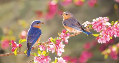 &Alpha;&pi;ό &sigma;ή&mu;&epsilon;&rho;&alpha; &alpha;&rho;&chi;ί&zeta;&epsilon;&iota; &kappa;&alpha;&iota; &epsilon;&pi;ί&sigma;&eta;&mu;&alpha; &eta; Ά&nu;&omicron;&iota;&xi;&eta;
