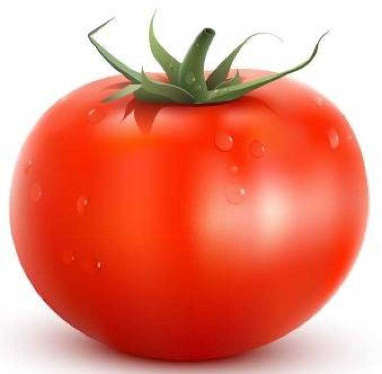 &Eta; &Chi;&alpha;&mu;έ&nu;&eta; &Gamma;&epsilon;ύ&sigma;&eta; &tau;&eta;&sigmaf; &Tau;&omicron;&mu;ά&tau;&alpha;&sigmaf;