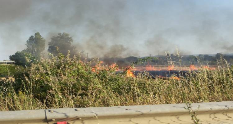 &Phi;&omega;&tau;&iota;ά &tau;&omicron; &pi;&rho;&omega;ί &sigma;&tau;&eta;&nu; &Pi;&alpha;&nu;&alpha;&gamma;&iota;ά