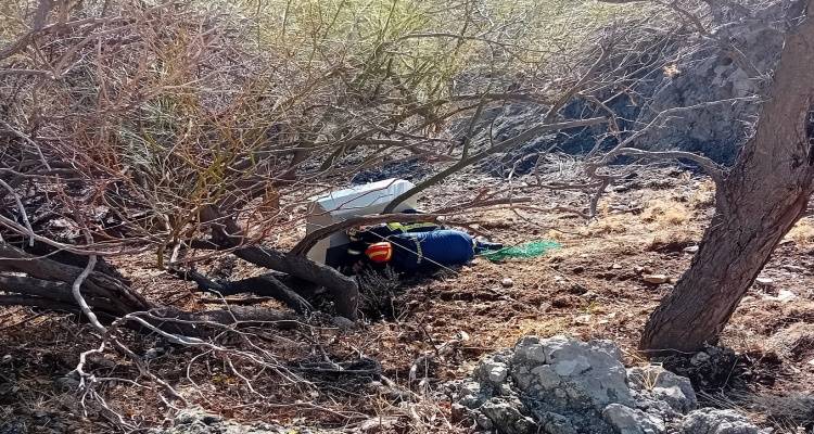 Μύρινα: Επιχείρηση απεγκλωβισμού πλατωνιού στο κάστρο