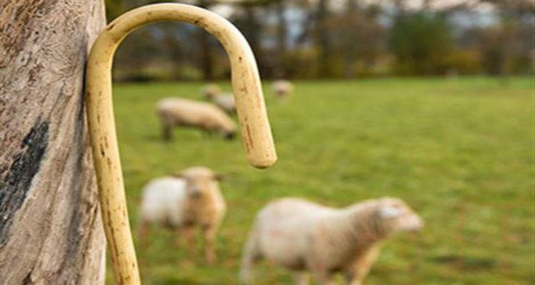 609.646,43&euro; &sigma;&tau;&omicron;&upsilon;&sigmaf; &kappa;&tau;&eta;&nu;&omicron;&tau;&rho;ό&phi;&omicron;&upsilon;&sigmaf; &tau;&eta;&sigmaf; &Lambda;ή&mu;&nu;&omicron;&upsilon; &kappa;&alpha;&iota; &tau;&eta;&sigmaf; &Lambda;έ&sigma;&beta;&omicron;&upsilon;