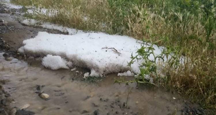 Φωτογραφία: Μπάμπης Ντινενής