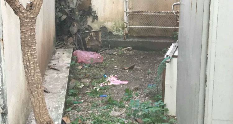 &Sigma;&omicron;&kappa;ά&rho;&omicron;&upsilon;&nu; &omicron;&iota; &lambda;&epsilon;&pi;&tau;&omicron;&mu;έ&rho;&epsilon;&iota;&epsilon;&sigmaf; &gamma;&iota;&alpha; &tau;&eta;&nu; 22&chi;&rho;&omicron;&nu;&eta; &pi;&omicron;&upsilon; ά&phi;&eta;&sigma;&epsilon; &tau;&omicron; &beta;&rho;έ&phi;&omicron;&sigmaf; &tau;&eta;&sigmaf; &sigma;&tau;&omicron;&nu; &alpha;&kappa;ά&lambda;&upsilon;&pi;&tau;&omicron; &sigma;&tau;&eta; &Nu;έ&alpha; &Sigma;&mu;ύ&rho;&nu;&eta;