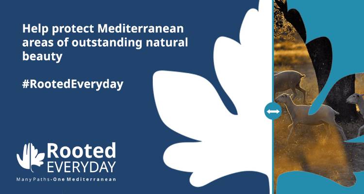 Λήμνος: Μεσογειακός μαθητικός/νεανικός διαγωνισμός δημιουργικής γραφής στο πλαίσιο του προγράμματος Terra Lemnia