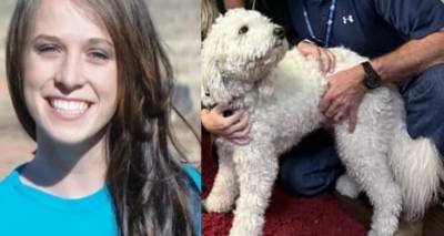 &Pi;ώ&sigmaf; έ&nu;&alpha;&sigmaf; &sigma;&kappa;ύ&lambda;&omicron;&sigmaf; &omicron;&delta;ή&gamma;&eta;&sigma;&epsilon; &tau;&iota;&sigmaf; &Alpha;&rho;&chi;έ&sigmaf; &nu;&alpha; &epsilon;&xi;&iota;&chi;&nu;&iota;ά&sigma;&omicron;&upsilon;&nu; &tau;&eta; &delta;&omicron;&lambda;&omicron;&phi;&omicron;&nu;ί&alpha; &tau;&eta;&sigmaf; &iota;&delta;&iota;&omicron;&kappa;&tau;ή&tau;&rho;&iota;ά&sigmaf; &tau;&omicron;&upsilon; -&Mu;ί&alpha; &alpha;&pi;ί&sigma;&tau;&epsilon;&upsilon;&tau;&eta; &iota;&sigma;&tau;&omicron;&rho;ί&alpha;