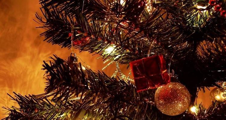 &Sigma;&epsilon; &gamma;&iota;&omicron;&rho;&tau;&iota;&nu;ή &delta;&iota;ά&theta;&epsilon;&sigma;&eta; &tau;&omicron; &Lambda;ύ&kappa;&epsilon;&iota;&omicron; &Epsilon;&lambda;&lambda;&eta;&nu;ί&delta;&omega;&nu; &Lambda;ή&mu;&nu;&omicron;&upsilon;