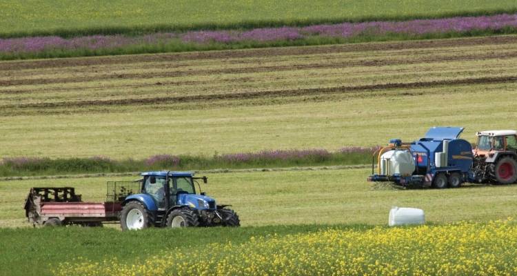 &laquo;&Delta;&epsilon;&nu; &theta;&alpha; &pi;&lambda;&eta;&rho;&omega;&theta;&omicron;ύ&nu; &tau;&omicron; &Pi;ά&sigma;&chi;&alpha; &omicron;&iota; &sigma;&tau;&rho;&epsilon;&mu;&mu;&alpha;&tau;&iota;&kappa;έ&sigmaf; &epsilon;&nu;&iota;&sigma;&chi;ύ&sigma;&epsilon;&iota;&sigmaf; &sigma;&tau;&omicron;&upsilon;&sigmaf; &alpha;&gamma;&rho;ό&tau;&epsilon;&sigmaf;&raquo;