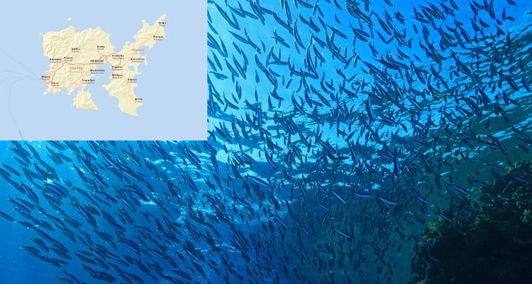 Οι μαθητές του Γυμνασίου Μύρινας γίνονται οι «Φύλακες του Αιγαίου»
