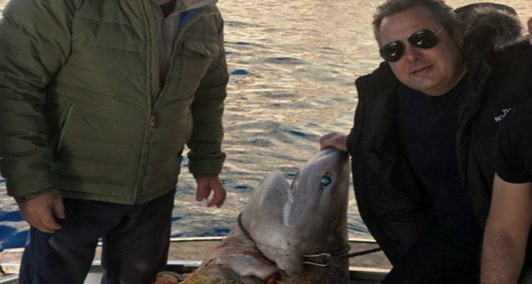 WWF: &Nu;&tau;&rho;&omicron;&pi;&iota;&alpha;&sigma;&tau;&iota;&kappa;ή &eta; &epsilon;&iota;&kappa;ό&nu;&alpha; &Kappa;&alpha;&mu;&mu;έ&nu;&omicron;&upsilon; &delta;ί&pi;&lambda;&alpha; &sigma;&epsilon; &pi;&rho;&omicron;&sigma;&tau;&alpha;&tau;&epsilon;&upsilon;ό&mu;&epsilon;&nu;&omicron; &epsilon;ί&delta;&omicron;&sigmaf; &sigma;&kappa;&omicron;&tau;&omega;&mu;έ&nu;&omicron;&upsilon; &laquo;&mu;&epsilon;&gamma;&alpha;&lambda;&omicron;&kappa;&alpha;&rho;&chi;&alpha;&rho;ί&alpha;&raquo;