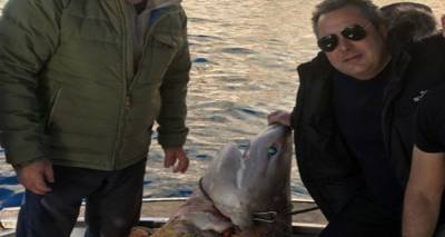 WWF: &Nu;&tau;&rho;&omicron;&pi;&iota;&alpha;&sigma;&tau;&iota;&kappa;ή &eta; &epsilon;&iota;&kappa;ό&nu;&alpha; &Kappa;&alpha;&mu;&mu;έ&nu;&omicron;&upsilon; &delta;ί&pi;&lambda;&alpha; &sigma;&epsilon; &pi;&rho;&omicron;&sigma;&tau;&alpha;&tau;&epsilon;&upsilon;ό&mu;&epsilon;&nu;&omicron; &epsilon;ί&delta;&omicron;&sigmaf; &sigma;&kappa;&omicron;&tau;&omega;&mu;έ&nu;&omicron;&upsilon; &laquo;&mu;&epsilon;&gamma;&alpha;&lambda;&omicron;&kappa;&alpha;&rho;&chi;&alpha;&rho;ί&alpha;&raquo;
