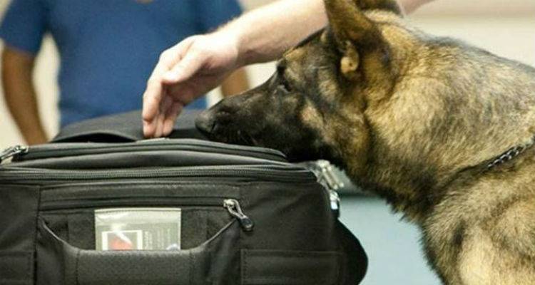 &Sigma;ύ&lambda;&lambda;&eta;&psi;&eta; &gamma;&iota;&alpha; &nu;&alpha;&rho;&kappa;&omega;&tau;&iota;&kappa;ά &sigma;&tau;&omicron; &lambda;&iota;&mu;ά&nu;&iota; &tau;&eta;&sigmaf; &Mu;ύ&rho;&iota;&nu;&alpha;&sigmaf;