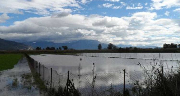 &Gamma;&nu;&omega;&sigma;&tau;&omicron;&pi;&omicron;&iota;ή&theta;&eta;&kappa;&epsilon; &tau;&omicron; &pi;ό&rho;&iota;&sigma;&mu;&alpha; &epsilon;&kappa;&tau;ί&mu;&eta;&sigma;&eta;&sigmaf; &tau;&omicron;&upsilon; &Epsilon;&Lambda;&Gamma;&Alpha; &alpha;&pi;ό &kappa;&alpha;&tau;&alpha;&sigma;&tau;&rho;&omicron;&phi;έ&sigmaf; &sigma;&tau;&iota;&sigmaf; &kappa;&alpha;&lambda;&lambda;&iota;έ&rho;&gamma;&epsilon;&iota;&epsilon;&sigmaf; &tau;&eta;&sigmaf; &Lambda;ή&mu;&nu;&omicron;&upsilon;