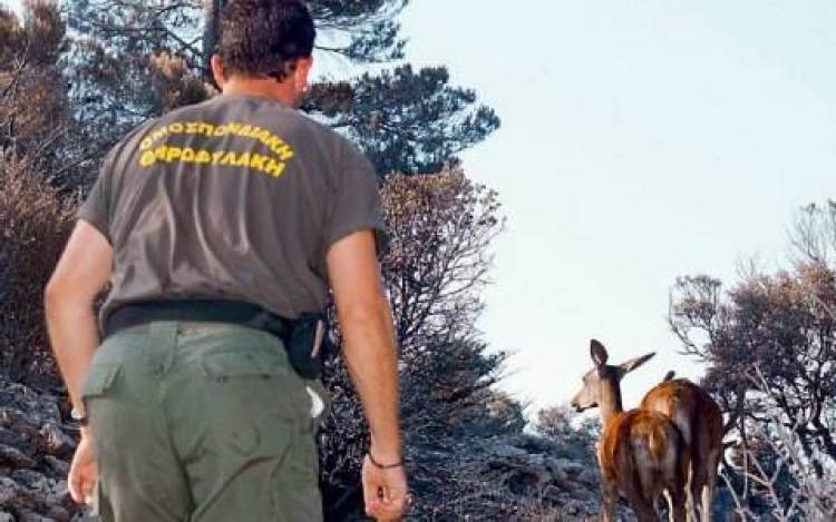 &Pi;&rho;ό&sigma;&lambda;&eta;&psi;&eta; &theta;&eta;&rho;&omicron;&phi;ύ&lambda;&alpha;&kappa;&alpha; &sigma;&tau;&eta; &Lambda;ή&mu;&nu;&omicron;