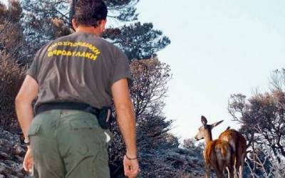 &Pi;&rho;ό&sigma;&lambda;&eta;&psi;&eta; &theta;&eta;&rho;&omicron;&phi;ύ&lambda;&alpha;&kappa;&alpha; &sigma;&tau;&eta; &Lambda;ή&mu;&nu;&omicron;