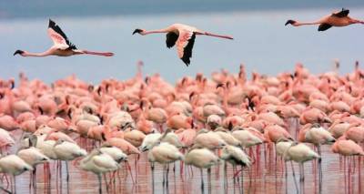 &Lambda;ή&mu;&nu;&omicron;&sigmaf;: &Tau;&omicron; &nu;&eta;&sigma;ί &pi;&omicron;&upsilon; &delta;&epsilon;&nu; &mu;&omicron;&iota;ά&zeta;&epsilon;&iota; &mu;&epsilon; &kappa;&alpha;&nu;έ&nu;&alpha; ά&lambda;&lambda;&omicron; &sigma;&tau;&eta;&nu; &Epsilon;&lambda;&lambda;ά&delta;&alpha;! (photos)