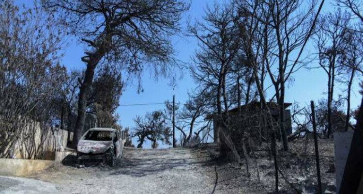&Epsilon;&iota;&sigma;&alpha;&gamma;&gamma;&epsilon;&lambda;&iota;&kappa;ή έ&rho;&epsilon;&upsilon;&nu;&alpha; &gamma;&iota;&alpha; &tau;&eta;&nu; &tau;&rho;&alpha;&gamma;&omega;&delta;ί&alpha;: &Pi;&omicron;&iota;&omicron;&iota; &mu;&pi;&alpha;ί&nu;&omicron;&upsilon;&nu; &sigma;&tau;&omicron; &sigma;&tau;ό&chi;&alpha;&sigma;&tau;&rho;&omicron; &gamma;&iota;&alpha; &delta;&iota;ώ&xi;&epsilon;&iota;&sigmaf;