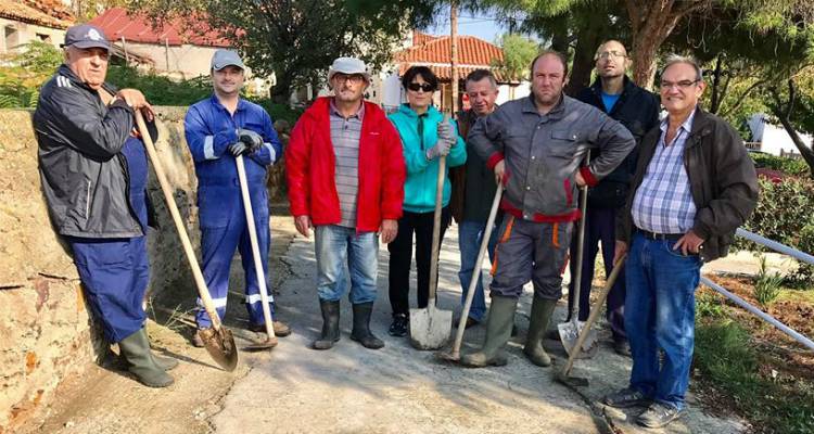 Λήμνος: 100 πικροδάφνες θα κοσμούν πλέον την Καλλιθέα! (photos)