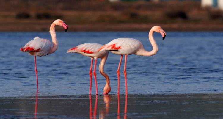 Προσπάθειες επαναλειτουργίας του Κέντρου Περιβαλλοντικής Ενημέρωσης