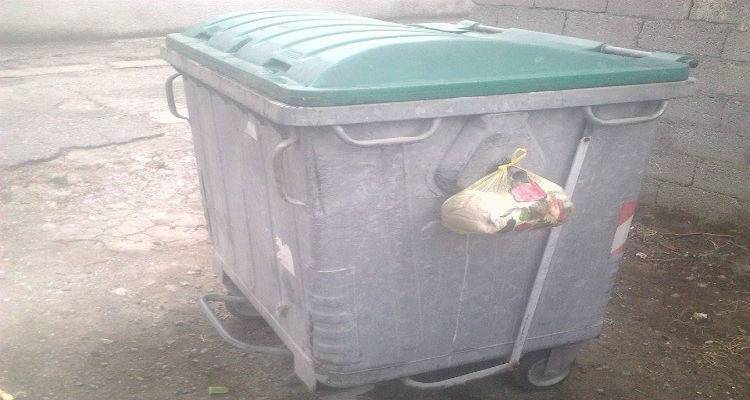 &Mu;&epsilon;&tau;&alpha;&chi;&epsilon;&iota;&rho;&iota;&sigma;&mu;έ&nu;&alpha; &rho;&omicron;ύ&chi;&alpha; &gamma;&iota;&alpha; &tau;&omicron;&upsilon;&sigmaf; &alpha;&pi;ό&rho;&omicron;&upsilon;&sigmaf; &tau;&eta;&sigmaf; &Lambda;ή&mu;&nu;&omicron;&upsilon; &sigma;&epsilon; &kappa;ά&delta;&omicron;&upsilon;&sigmaf; &tau;&omega;&nu; &chi;&omega;&rho;&iota;ώ&nu; (photos)