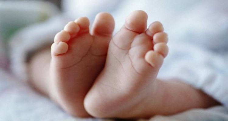 &Lambda;ή&mu;&nu;&omicron;&sigmaf; - &Omicron;&iota;&kappa;. &Alpha;&rho;&iota;&sigma;&tau;&epsilon;ί&delta;&eta; &Tau;&rho;&iota;ά&nu;&tau;&omicron;&upsilon;: &laquo;&Epsilon;&kappa;&phi;&rho;ά&zeta;&omicron;&upsilon;&mu;&epsilon; &tau;&eta;&nu; &epsilon;&upsilon;&gamma;&nu;&omega;&mu;&omicron;&sigma;ύ&nu;&eta; &mu;&alpha;&sigmaf; &gamma;&iota;&alpha; &tau;&eta;&nu; &sigma;&upsilon;&mu;&pi;&alpha;&rho;ά&sigma;&tau;&alpha;&sigma;&eta; &sigma;&alpha;&sigmaf; &sigma;&tau;&eta;&nu; &pi;&epsilon;&rho;&iota;&pi;έ&tau;&epsilon;&iota;&alpha; &tau;&omicron;&upsilon; &beta;&rho;έ&phi;&omicron;&upsilon;&sigmaf; &mu;&alpha;&sigmaf;&raquo;