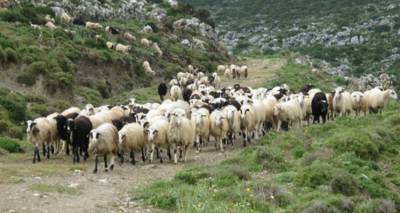 &Alpha;&pi;ό 26 &Mu;&alpha;&rho;&tau;ί&omicron;&upsilon; &omicron;&iota; &alpha;&iota;&tau;ή&sigma;&epsilon;&iota;&sigmaf; &gamma;&iota;&alpha; &tau;&eta; &beta;&iota;&omicron;&lambda;&omicron;&gamma;&iota;&kappa;ή &kappa;&tau;&eta;&nu;&omicron;&tau;&rho;&omicron;&phi;ί&alpha;