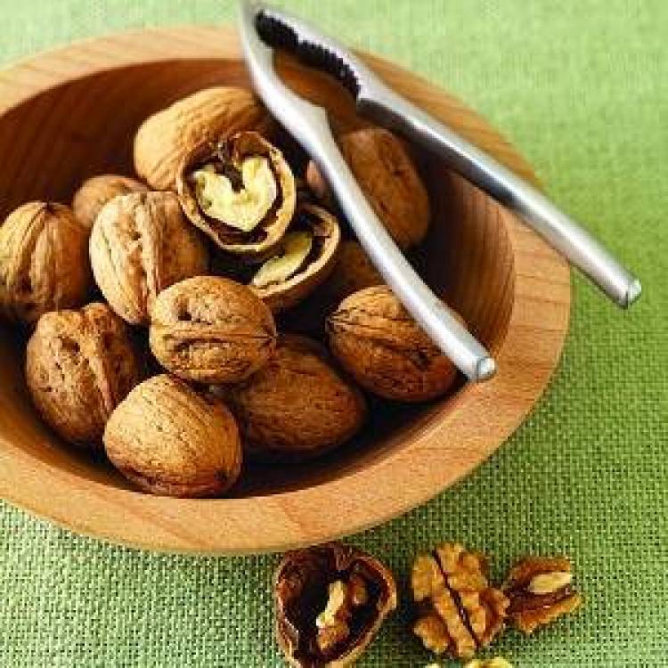 &laquo;&Alpha;&sigma;&pi;ί&delta;&alpha;&raquo; &gamma;&iota;&alpha; &tau;&eta;&nu; &kappa;&alpha;&rho;&delta;&iota;ά &tau;&alpha; &kappa;&alpha;&rho;ύ&delta;&iota;&alpha;