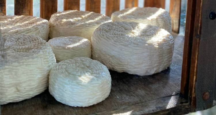 Ο «κρυμμένος θησαυρός» του Β. Αιγαίου