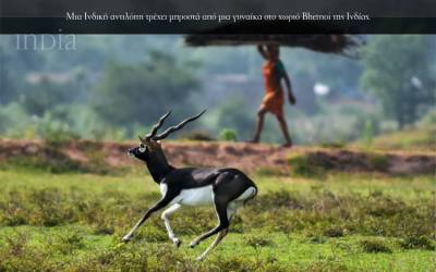 India