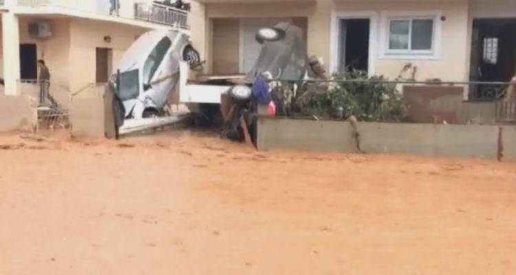 &Epsilon;&pi;&tau;ά &omicron;&iota; &nu;&epsilon;&kappa;&rho;&omicron;ί &alpha;&pi;ό &tau;&eta;&nu; &kappa;&alpha;&kappa;&omicron;&kappa;&alpha;&iota;&rho;ί&alpha; -&Pi;&nu;ί&gamma;&eta;&kappa;&alpha;&nu; &eta; &Mu;ά&nu;&delta;&rho;&alpha; &kappa;&alpha;&iota; &eta; &Nu;έ&alpha; &Pi;έ&rho;&alpha;&mu;&omicron;&sigmaf; (photos)