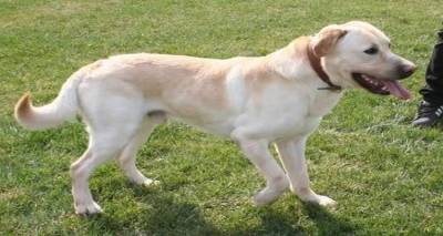 &Alpha;&upsilon;&sigma;&tau;&eta;&rho;ά &pi;&rho;ό&sigma;&tau;&iota;&mu;&alpha; &gamma;&iota;&alpha; &tau;&omicron;&upsilon;&sigmaf; &laquo;&alpha;&nu;&epsilon;ύ&theta;&upsilon;&nu;&omicron;&upsilon;&sigmaf;&raquo; &iota;&delta;&iota;&omicron;&kappa;&tau;ή&tau;&epsilon;&sigmaf; &kappa;&alpha;&tau;&omicron;&iota;&kappa;&iota;&delta;ί&omega;&nu; &alpha;&pi;ό &tau;&omicron; &Delta;ή&mu;&omicron; &Lambda;ή&mu;&nu;&omicron;&upsilon;