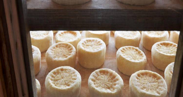 &Tau;&alpha; &tau;&upsilon;&rho;&iota;ά &tau;&eta;&sigmaf; &Lambda;ή&mu;&nu;&omicron;&upsilon;