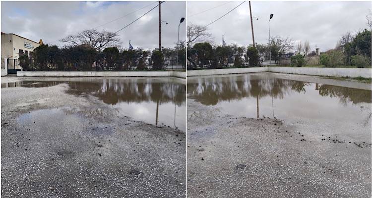 &Epsilon;&iota;&delta;&iota;&kappa;ό &Sigma;&chi;&omicron;&lambda;&epsilon;ί&omicron; &Kappa;&alpha;&lambda;&lambda;&iota;&theta;έ&alpha;&sigmaf;: &Sigma;&epsilon; &lambda;ί&mu;&nu;&eta; &mu;&epsilon;&tau;&alpha;&tau;&rho;έ&pi;&epsilon;&tau;&alpha;&iota; &omicron; &chi;ώ&rho;&omicron;&sigmaf; &alpha;&pi;&omicron;&beta;ί&beta;&alpha;&sigma;&eta;&sigmaf; &kappa;&alpha;&iota; &epsilon;&pi;&iota;&beta;ί&beta;&alpha;&sigma;&eta;&sigmaf; &mu;&alpha;&theta;&eta;&tau;ώ&nu; &kappa;&alpha;&iota; &epsilon;&kappa;&pi;&alpha;&iota;&delta;&epsilon;&upsilon;&tau;&iota;&kappa;ώ&nu; &kappa;ά&theta;&epsilon; &phi;&omicron;&rho;ά &pi;&omicron;&upsilon; &beta;&rho;έ&chi;&epsilon;&iota;