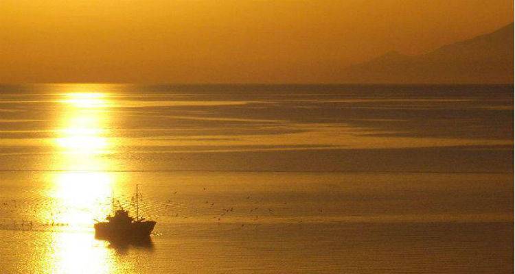 "&Gamma;&iota;&alpha; &tau;&omicron;&nu; &pi;&alpha;&mu;&phi;ί&lambda;&tau;&alpha;&tau;&omicron; &Kappa;&alpha;&pi;&epsilon;&tau;ά&nu;&iota;&omicron; &tau;&eta;&sigmaf; &laquo;&Pi;&Alpha;&Nu;&Alpha;&Gamma;&Iota;&Alpha;&Sigma;&raquo; &Kappa;ώ&sigma;&tau;&alpha; &Lambda;&alpha;&delta;ό&pi;&omicron;&upsilon;&lambda;&omicron;"