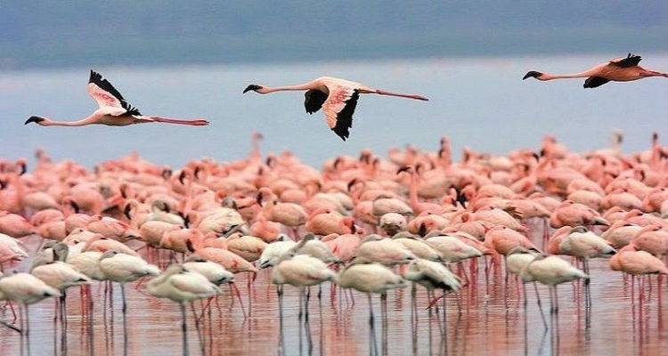 Λήμνος: Το νησί που δεν μοιάζει με κανένα άλλο στην Ελλάδα | Θυμίζει Ευρώπη, Ασία και Αφρική μαζί