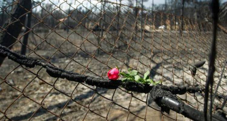 &Sigma;&tau;&omicron;&upsilon;&sigmaf; 96 &omicron;&iota; &nu;&epsilon;&kappa;&rho;&omicron;ί &sigma;&tau;&omicron; &Mu;ά&tau;&iota; | &Kappa;&alpha;&tau;έ&lambda;&eta;&xi;&epsilon; 68&chi;&rho;&omicron;&nu;&omicron;&sigmaf; &epsilon;&gamma;&kappa;&alpha;&upsilon;&mu;&alpha;&tau;ί&alpha;&sigmaf;