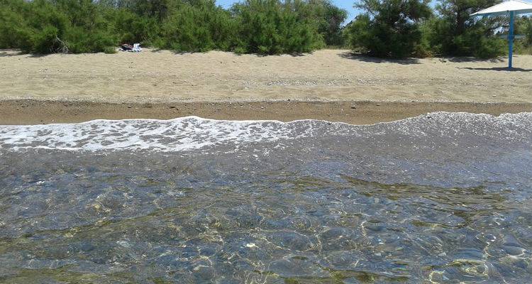 &Pi;&tau;ώ&sigma;&eta; &tau;&eta;&sigmaf; &theta;&epsilon;&rho;&mu;&omicron;&kappa;&rho;&alpha;&sigma;ί&alpha;&sigmaf; &kappa;&alpha;&iota; &iota;&sigma;&chi;&upsilon;&rho;&omicron;ί &beta;ό&rho;&epsilon;&iota;&omicron;&iota; ά&nu;&epsilon;&mu;&omicron;&iota;