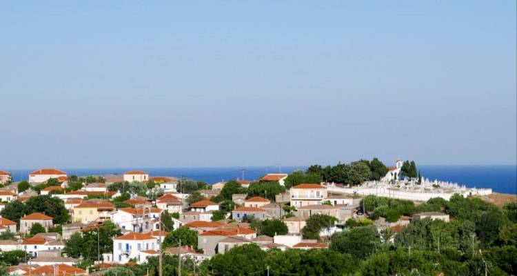 &Kappa;&alpha;&mu;ί&nu;&iota;&alpha;: &Chi;&omega;&rho;ί&sigmaf; &delta;&eta;&mu;&omicron;&tau;&iota;&kappa;ό &phi;&omega;&tau;&iota;&sigma;&mu;ό &pi;&alpha;&rho;&alpha;&mu;έ&nu;&epsilon;&iota; &eta; &delta;&epsilon;ύ&tau;&epsilon;&rho;&eta; &epsilon;ί&sigma;&omicron;&delta;&omicron;&sigmaf; &tau;&omicron;&upsilon; &chi;&omega;&rho;&iota;&omicron;ύ