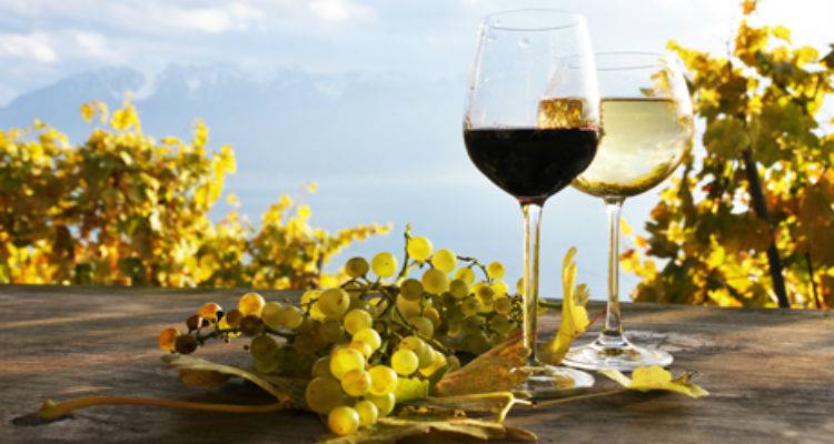 &Beta;&iota;&omicron;&lambda;&omicron;&gamma;&iota;&kappa;ά &kappa;&rho;&alpha;&sigma;&iota;ά &tau;&eta;&sigmaf; &Lambda;ή&mu;&nu;&omicron;&upsilon; &sigma;&tau;&eta; HORECA 2016