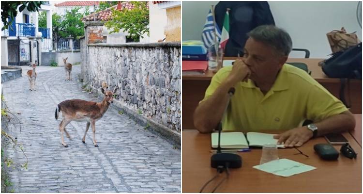 &Pi;&alpha;&rho;έ&mu;&beta;&alpha;&sigma;&eta; &tau;&eta;&sigmaf; &Lambda;&alpha;ϊ&kappa;ή&sigmaf; &Sigma;&upsilon;&sigma;&pi;&epsilon;ί&rho;&omega;&sigma;&eta;&sigmaf; &Lambda;ή&mu;&nu;&omicron;&upsilon; &gamma;&iota;&alpha; &tau;&omicron;&nu; &upsilon;&pi;&epsilon;&rho;&pi;&lambda;&eta;&theta;&upsilon;&sigma;&mu;ό &tau;&omega;&nu; &epsilon;&lambda;&alpha;&phi;&iota;ώ&nu; &kappa;&alpha;&iota; &tau;&iota;&sigmaf; &sigma;&upsilon;&nu;έ&pi;&epsilon;&iota;&epsilon;&sigmaf; &sigma;&tau;&omicron;&upsilon;&sigmaf; &delta;&eta;&mu;ό&tau;&epsilon;&sigmaf;